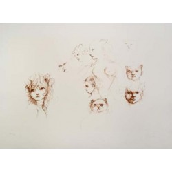 VISAGE
