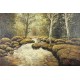 PAYSAGE AU TORRENT