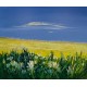 Fleurs de l’été