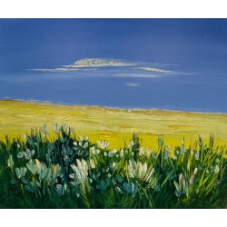 Fleurs de l’été