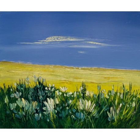 Fleurs de l’été
