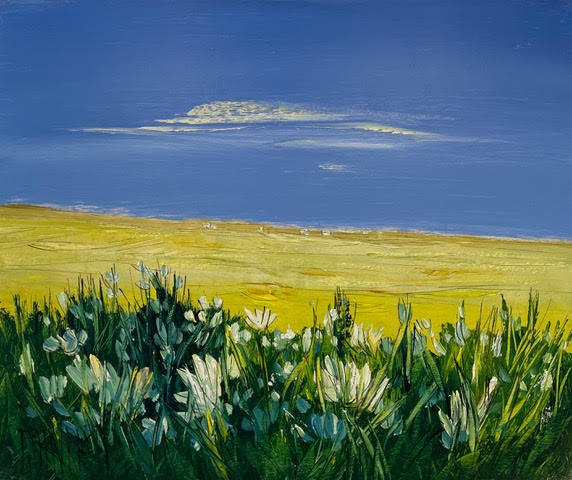Fleurs de l’été