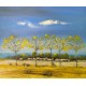 Paysage