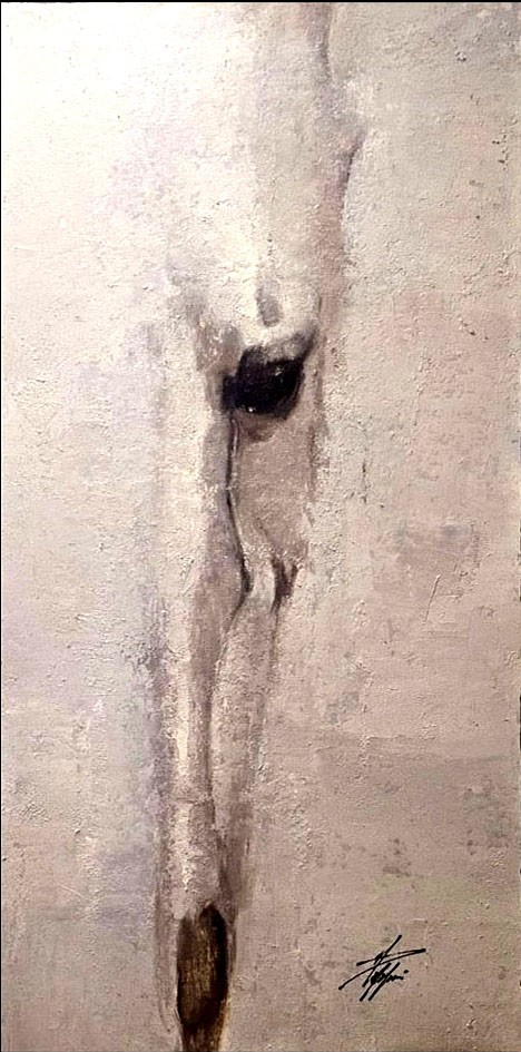 Palmieri Antonio ( Douceur Blancheur)