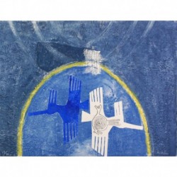 OISEAUX DE NAZCA