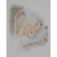 CHIMOT Edouard femme nue sur sofa